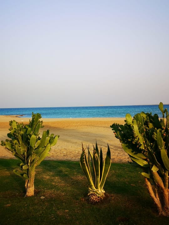 Strand Shams Safaga Resort