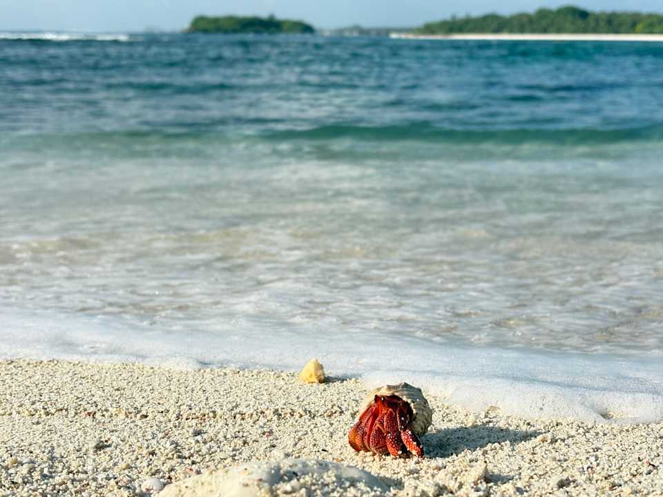 Strand Adaaran Select Hudhuran Fushi - Premium All Inclusive