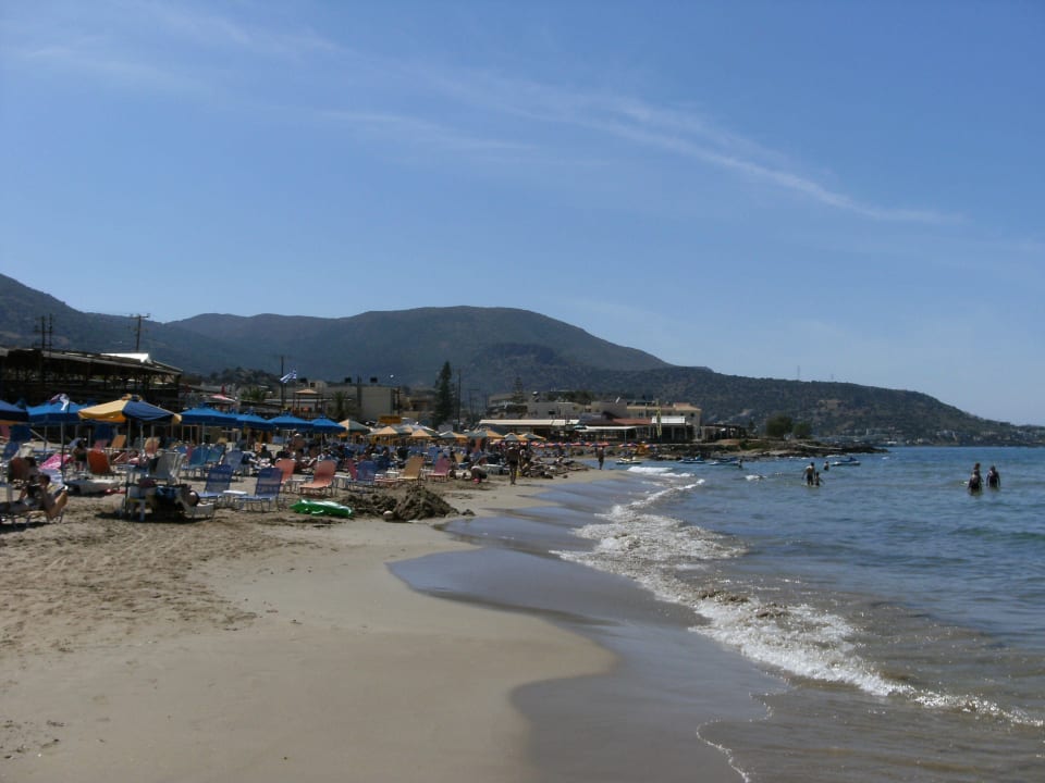 Der schöne Strand Cactus Royal