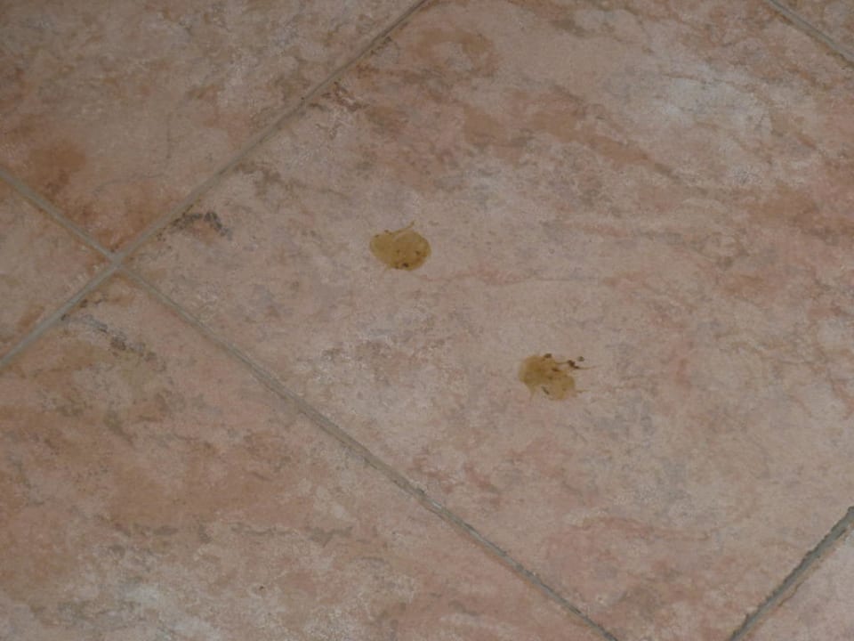 Mängel im Hotel Hotel Sineva Beach