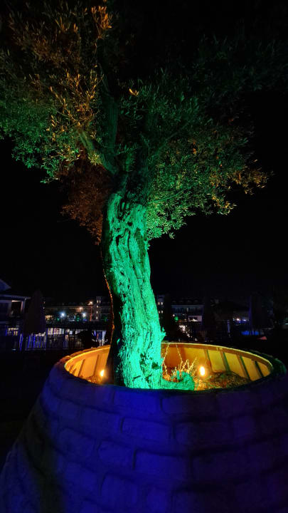 Gartenanlage Dream World Palace Hotel