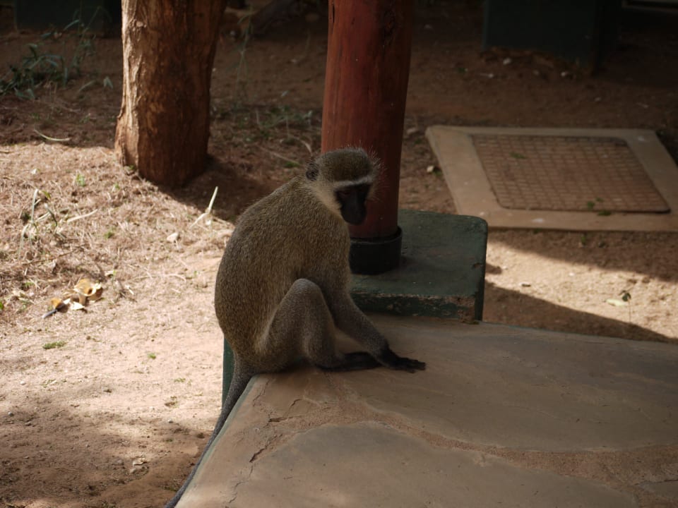 Sentrim Lodge Tsavo East Sentrim Tsavo Lodge