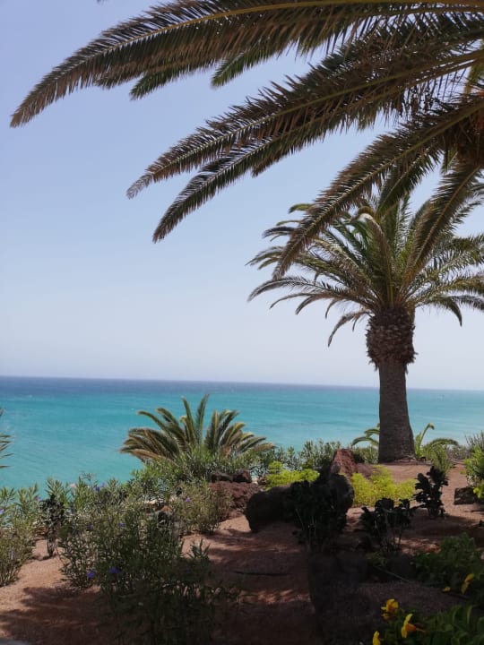 Ausblick R2 Pajara Beach