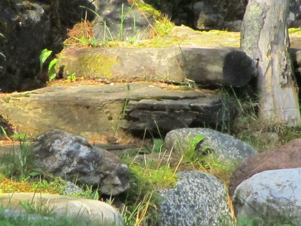Blick aus dem Fenster Familienhotel Hinteregger