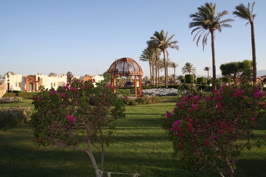 Garten SUNRISE Royal Makadi Resort