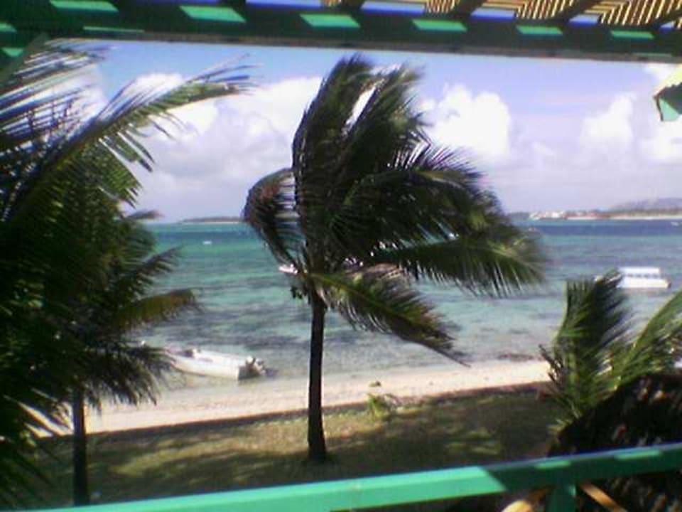 vom Balkon Tropical Attitude - Adults only