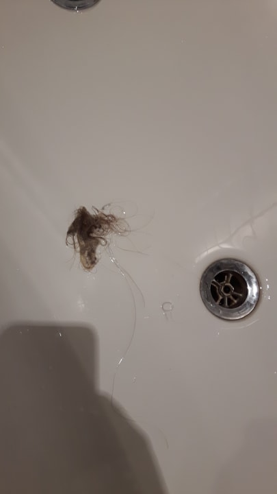 Zimmer Hotel am Havelufer Potsdam