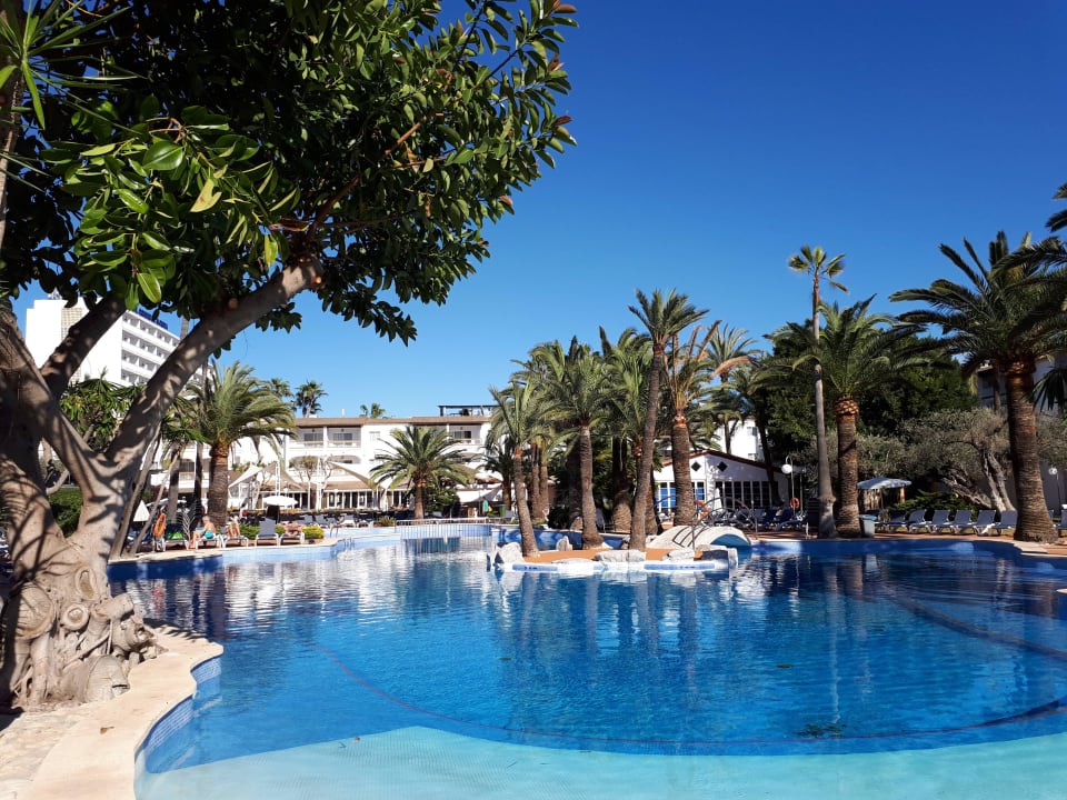 Herrlich großer Pool Alcudia Garden Aparthotel