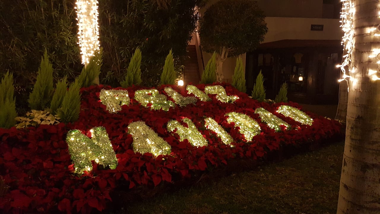 Gartenanlage Alua Suites Fuerteventura