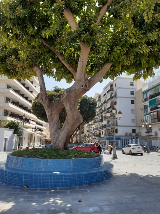 Sonstiges BLUESEA Gran Cervantes