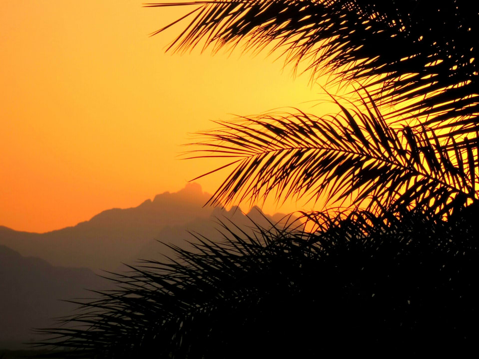 Ausblick Steigenberger Aqua Magic