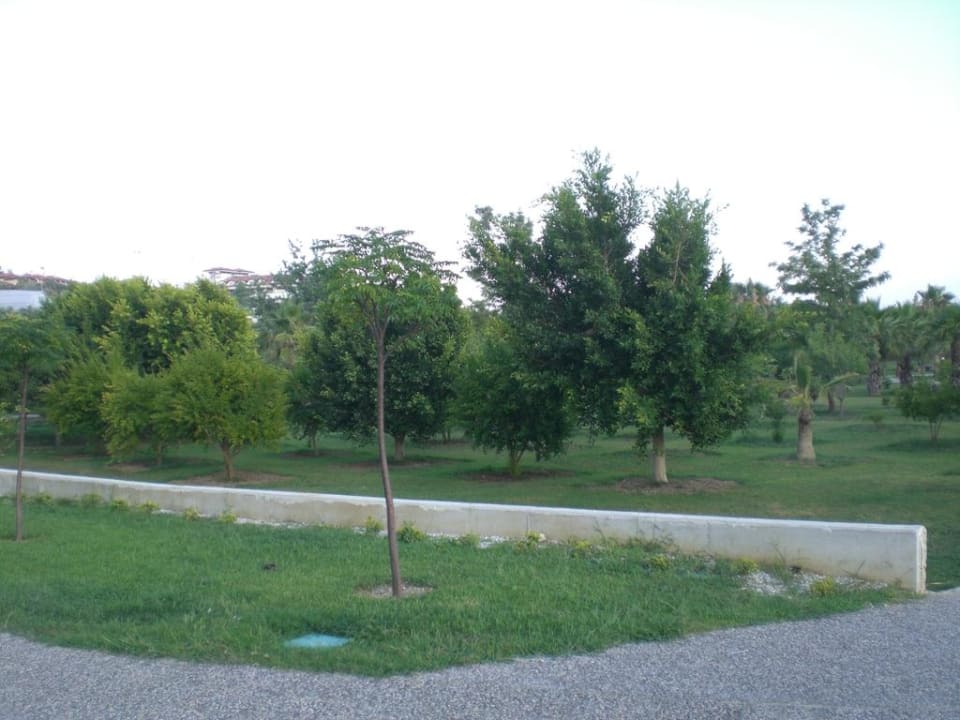 Schöne Gartenanlage auf dem Weg zum Strand Club Grand Aqua