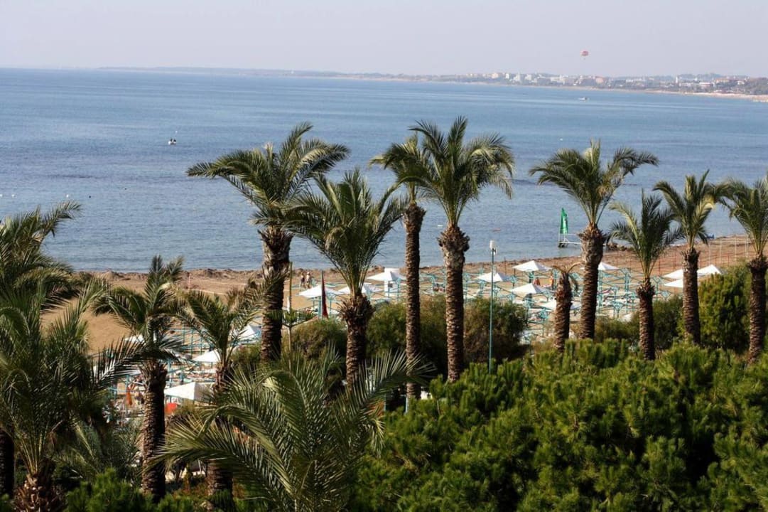 Blick vom Zimmer über Palmen auf Strand und Meer PALOMA Perissia
