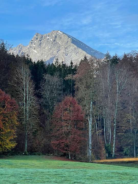 Zimmer Alm- & Wellnesshotel Alpenhof
