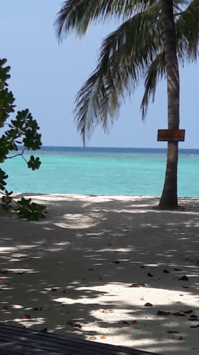 Strand Summer Island Maldives