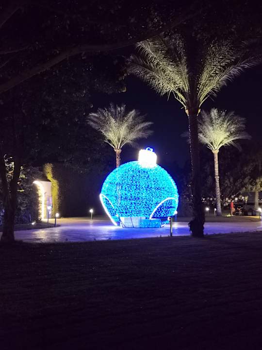 Sonstiges Desert Rose