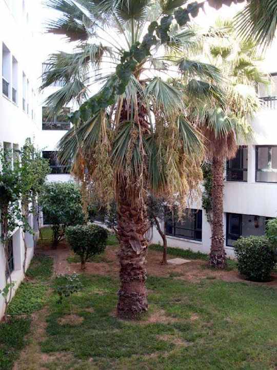 Aus dem Flurfenster direkt vor unserem Hotelzimmer Hotel Fatimi Garden