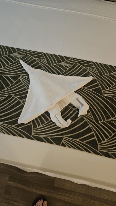 Zimmer Hotel Riu Palace Maldivas