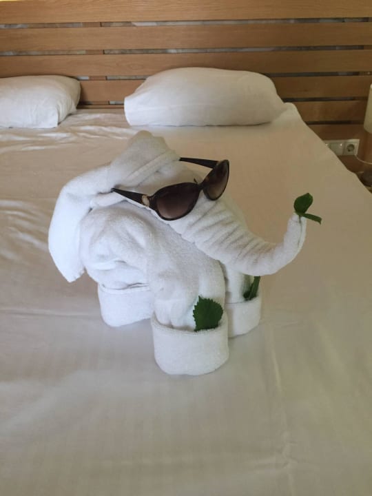 Zimmerservice TUI BLUE Seno - Adults Only