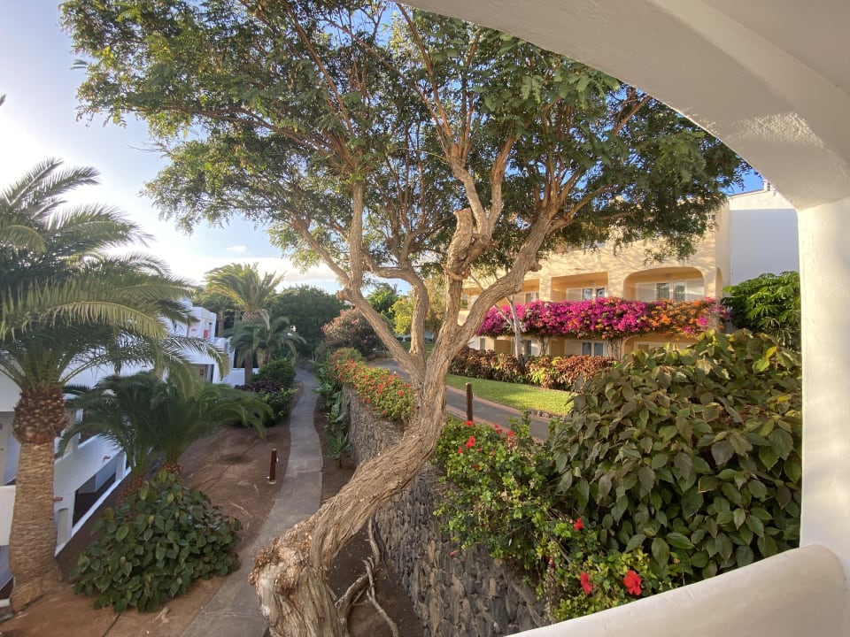 Außenansicht ROBINSON ESQUINZO PLAYA