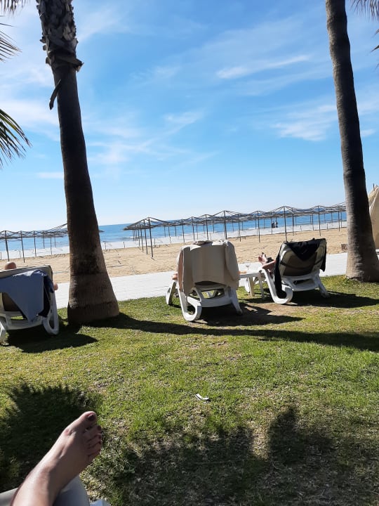 Gartenanlage Hotel Miramare Beach