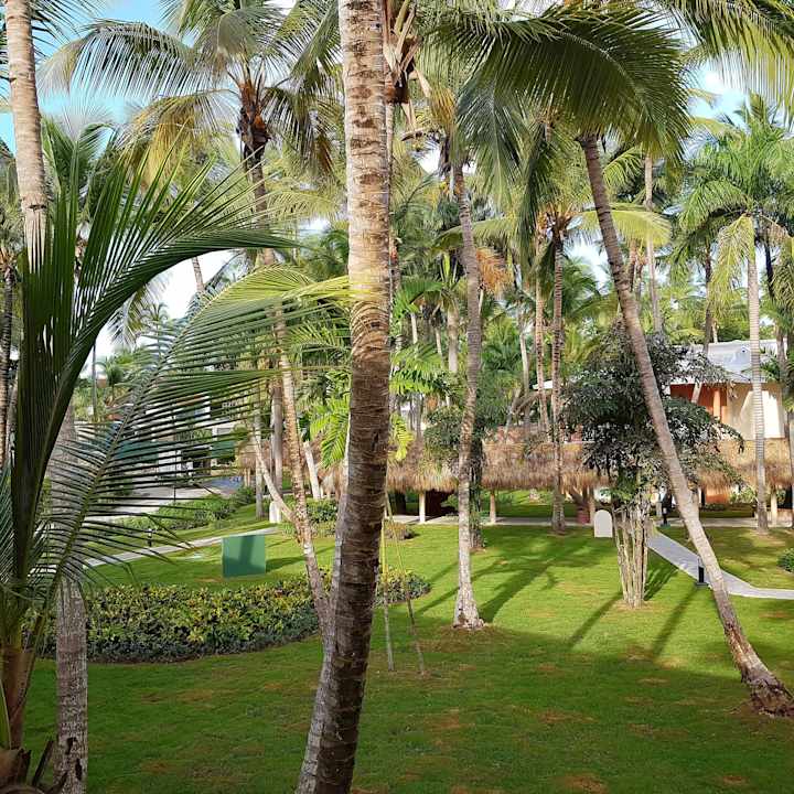 Ausblick vom Zimmer Hotel Grand Palladium Palace Resort, Spa & Casino