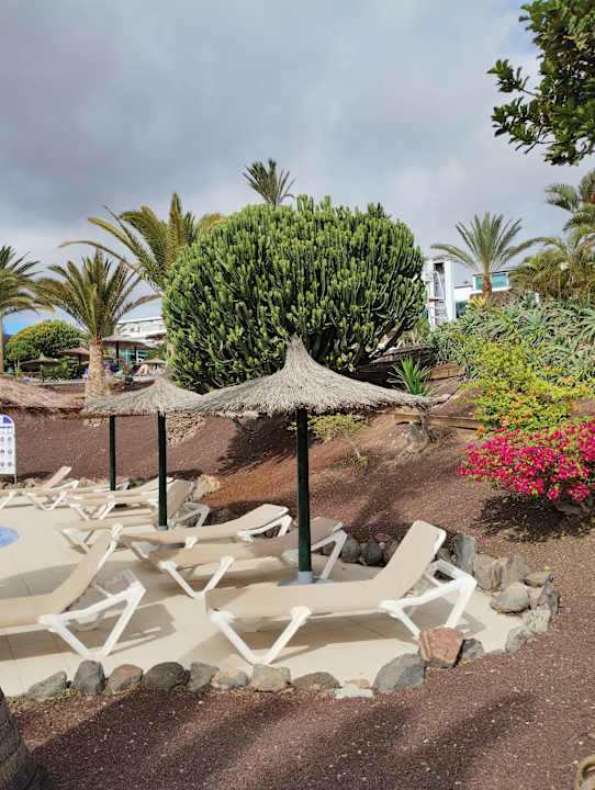 Pool allsun App.-Hotel Esquinzo Beach