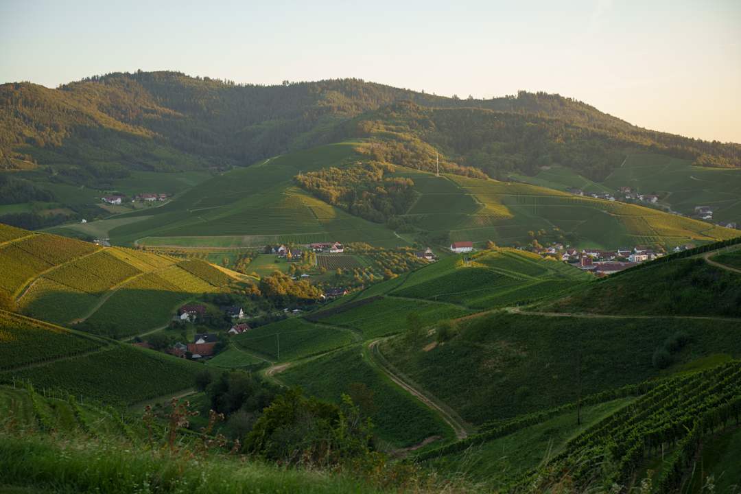 Ausblick Hotel Ritter Durbach