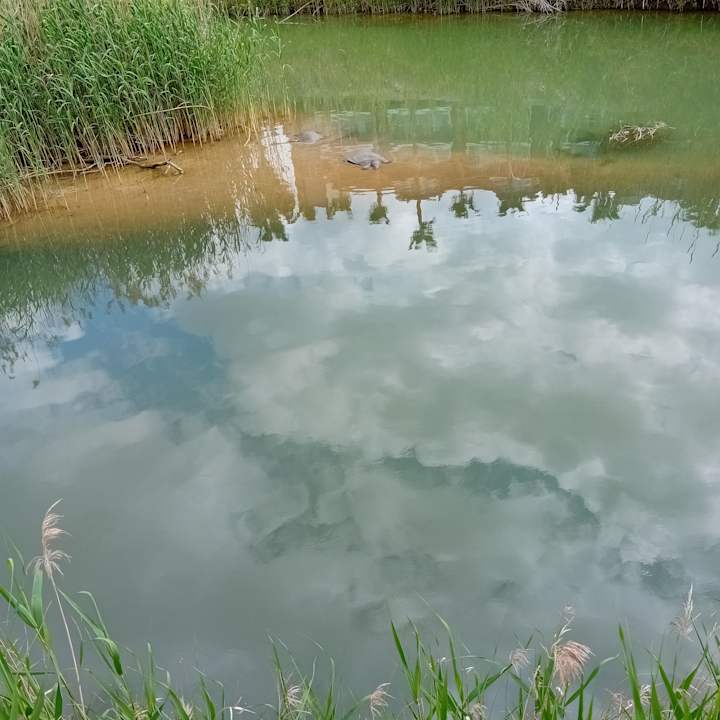 Sonstiges Seher Sun Palace Resort & Spa