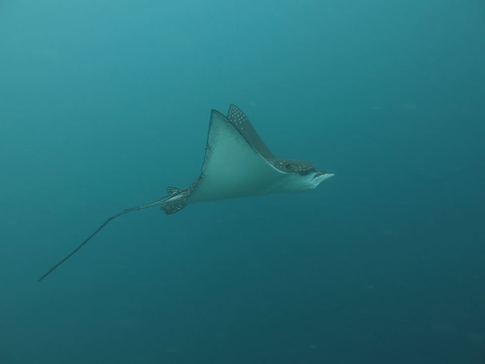 Strand NH Collection Maldives Reethi Resort