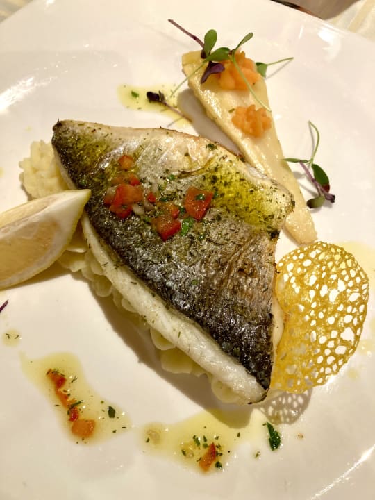Gastro Engel