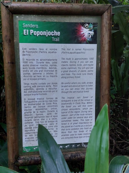 Gartenanlage Hotel Pachira Lodge