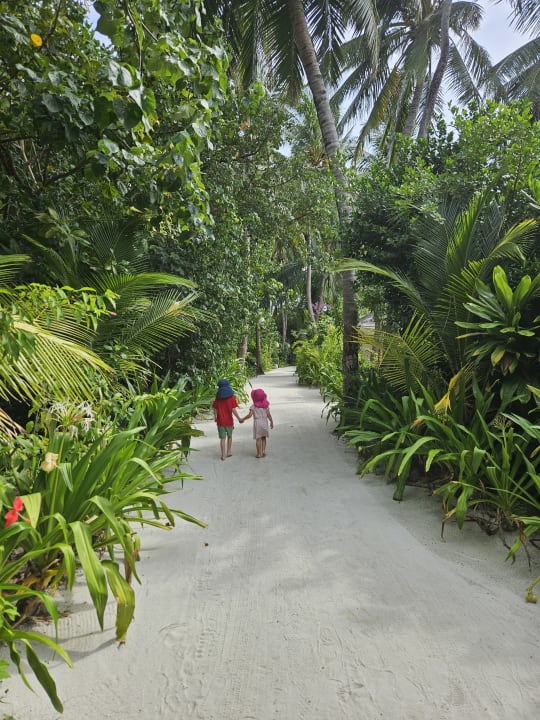 Gartenanlage Sun Siyam Vilu Reef