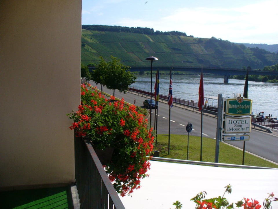 Hotel Zum Moseltal in Mehring Hotel Zum Moseltal