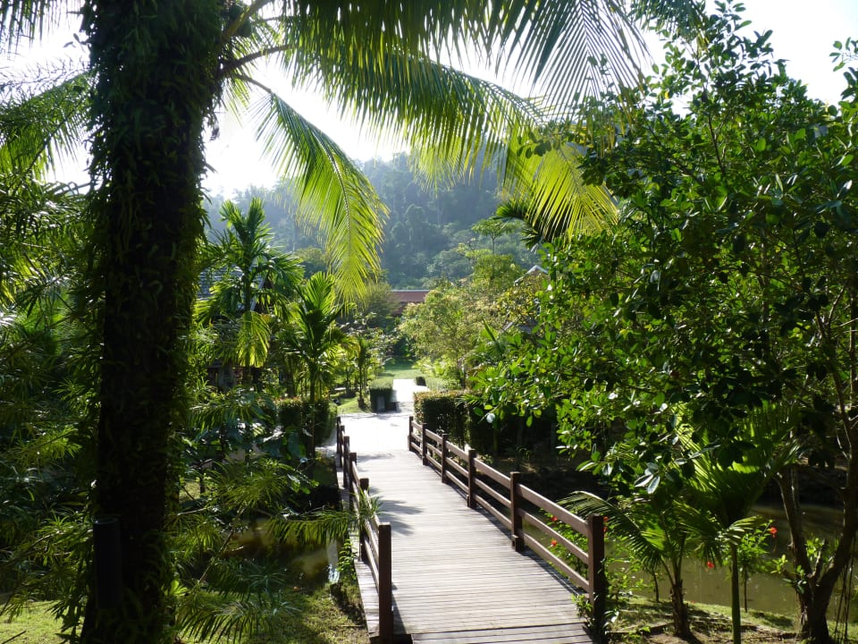 Allée vers la plage Khaolak Laguna Resort