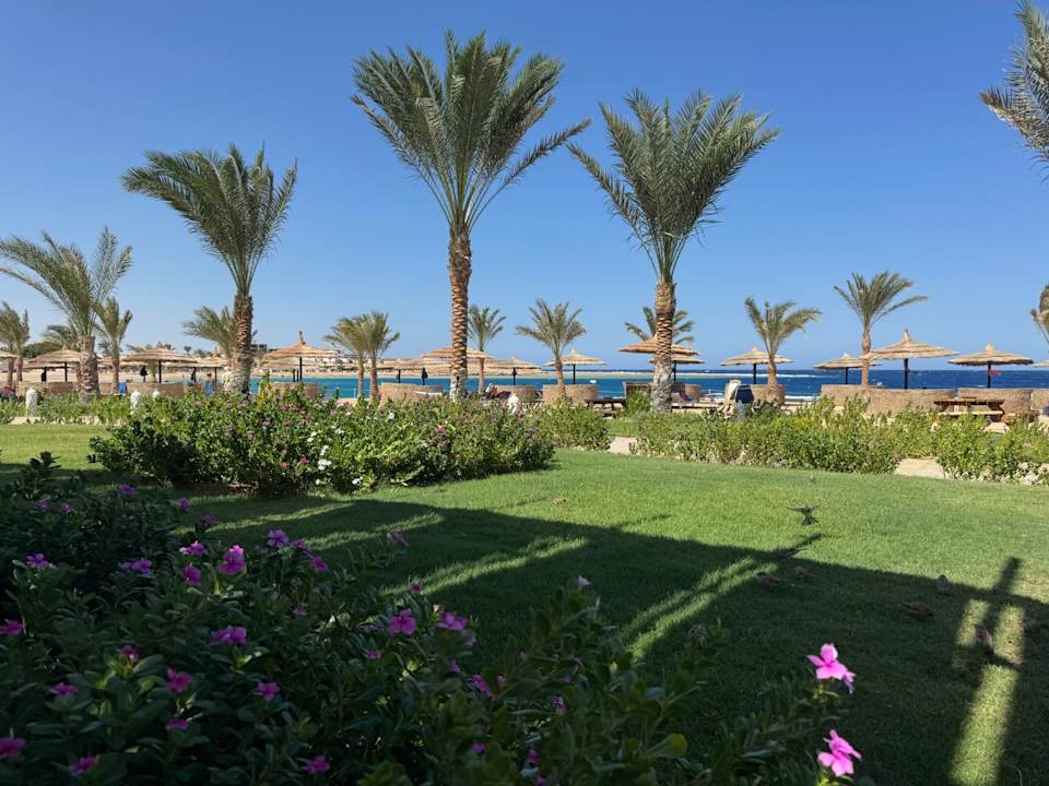 Gartenanlage Coral Sun Beach