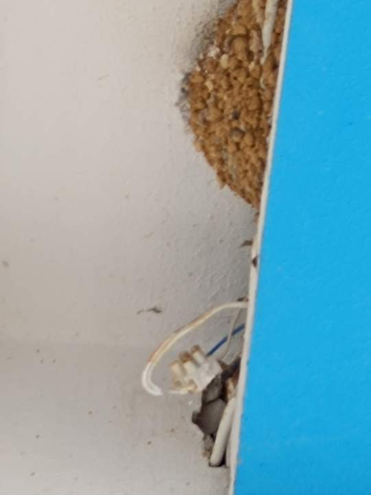 Zimmer Granada Luxury Okurcalar