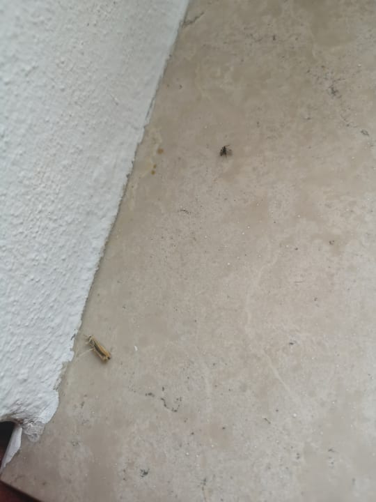 Gastro Schloßhotel Schkopau