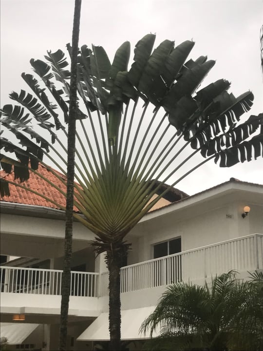 Gartenanlage Viva Heavens by Wyndham - All Inclusive Resort