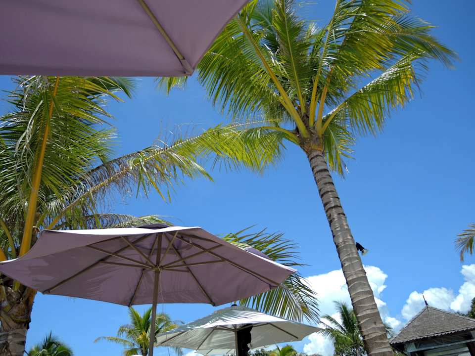 Am Strand ananea Beyond Khaolak