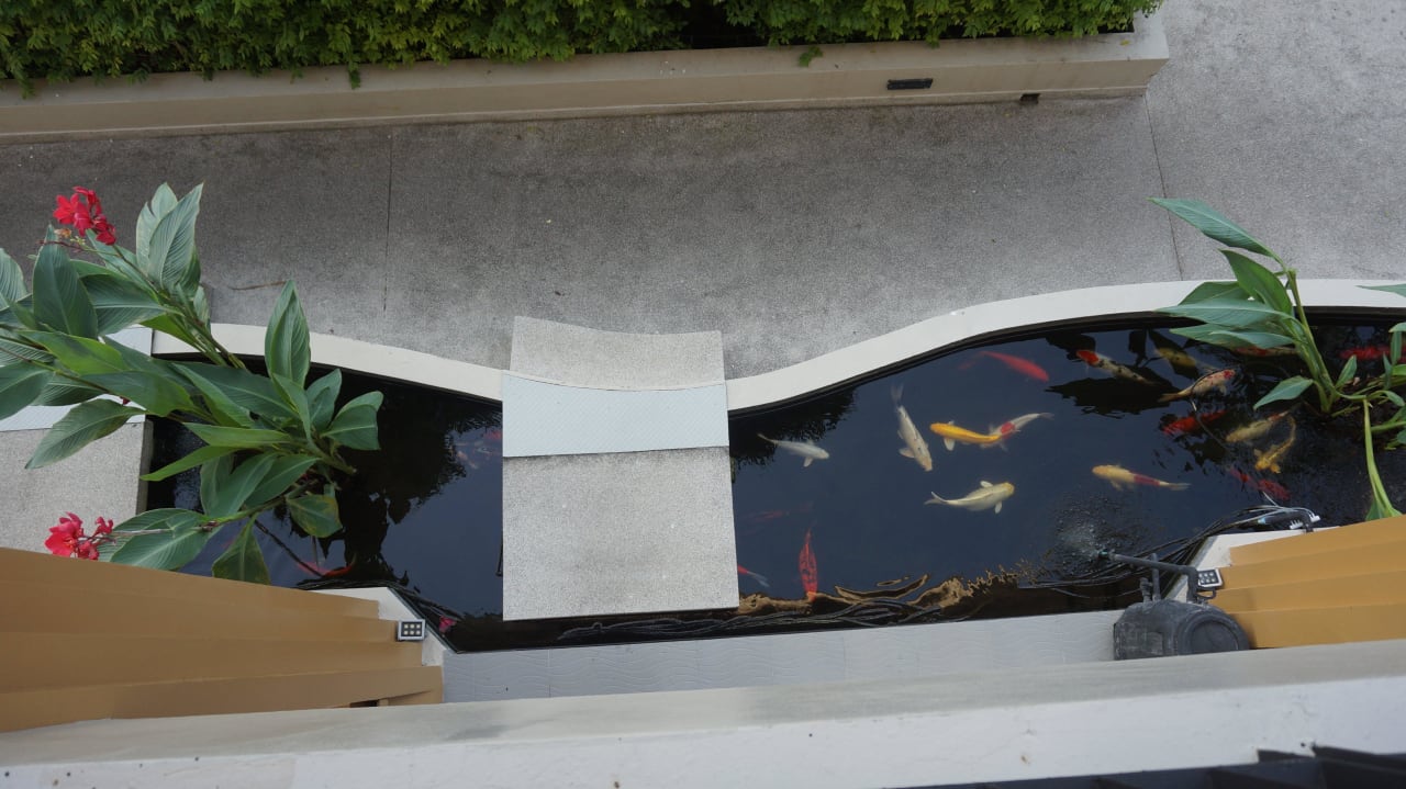 Schön angelegter Teich Hotel Rawai Palm Beach Resort