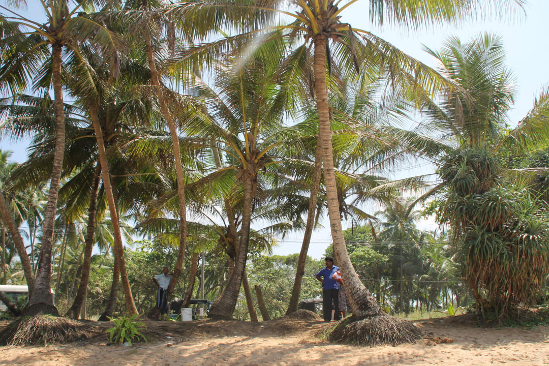 Strand Hotel Lanka Princess Ayurveda
