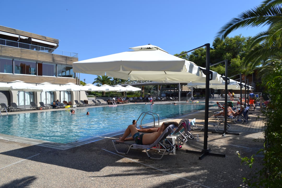 Pool Blue Dolphin Resort Hotel