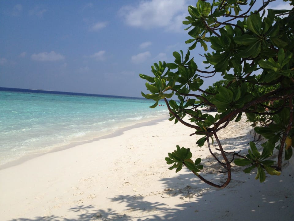 Sandstrand bei Ebbe Adaaran Select Meedhupparu Island Resort - Premium All Inclusive
