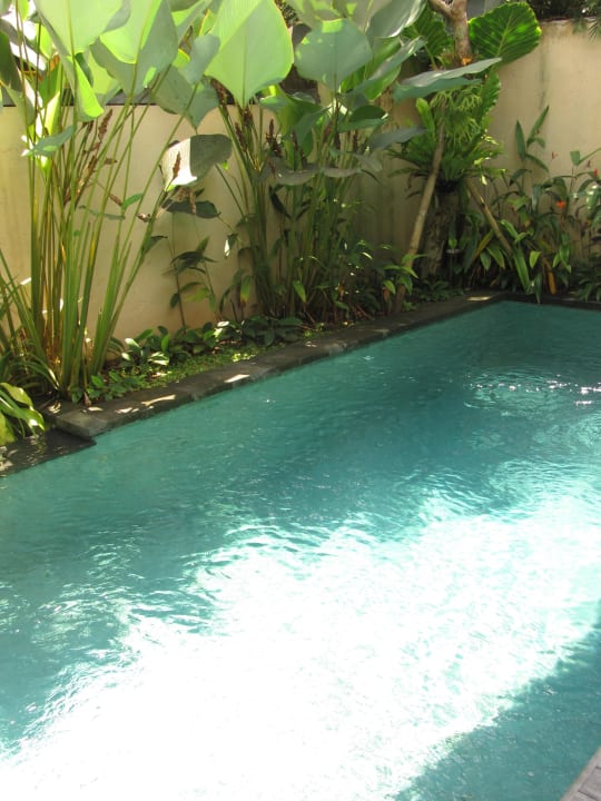 Privatpool Bayad Ubud Bali Villa