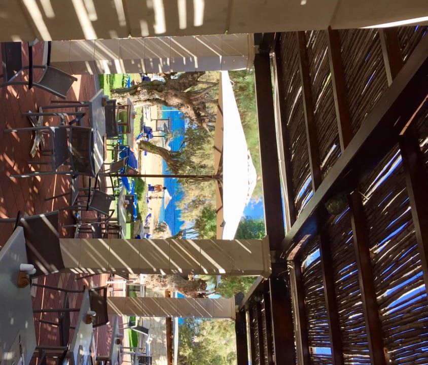 Gastro Phãea Cretan Malia