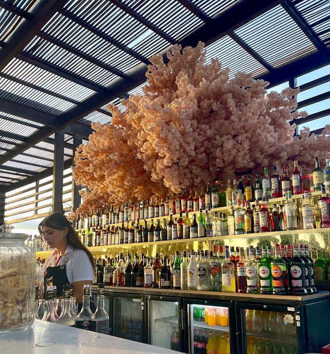 Gastro Rixos Premium Belek