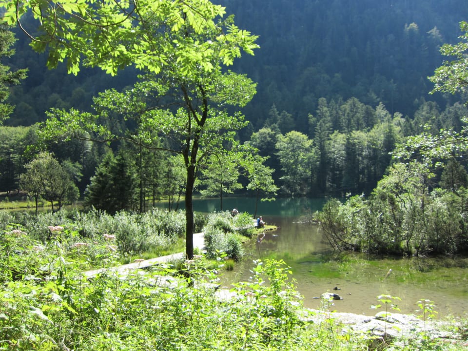 Sonstiges Ferienwohnung Enzinger Hausmoning 14