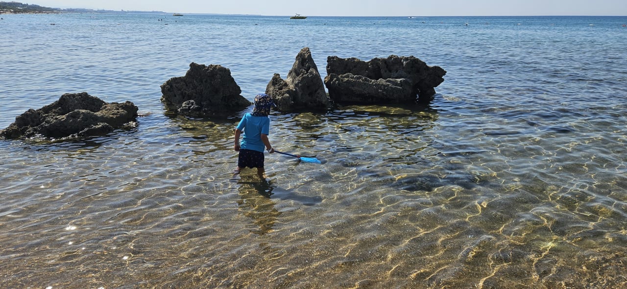 Strand VONRESORT Golden Coast