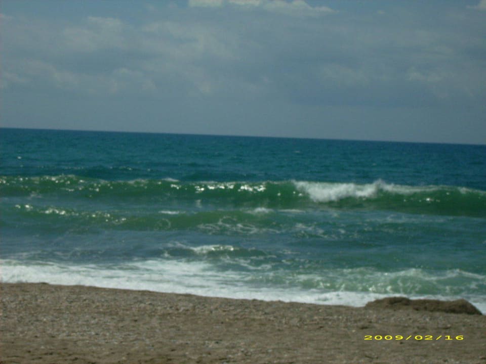 Blick von den Liegen aufs Meer Hotel Royal Garden Beach